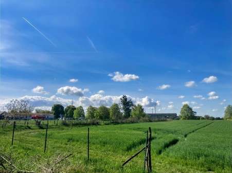 Acker - Grundstück in 16306 Hohenselchow-Groß Pinnow mit 13148m² kaufen