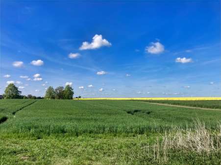 Acker - Grundstück in 16306 Hohenselchow-Groß Pinnow mit 13148m² kaufen