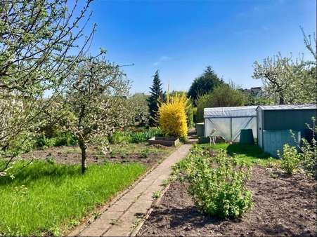 Garten - Grundstück in 17291 Prenzlau mit 517m² kaufen