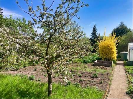 Garten - Grundstück in 17291 Prenzlau mit 517m² kaufen
