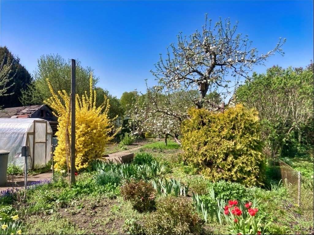 Garten - Grundstück in 17291 Prenzlau mit 517m² kaufen
