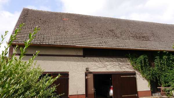 Scheune außen - Betoneindeckung - Einfamilienhaus in 03149 Wiesengrund mit 160m² kaufen