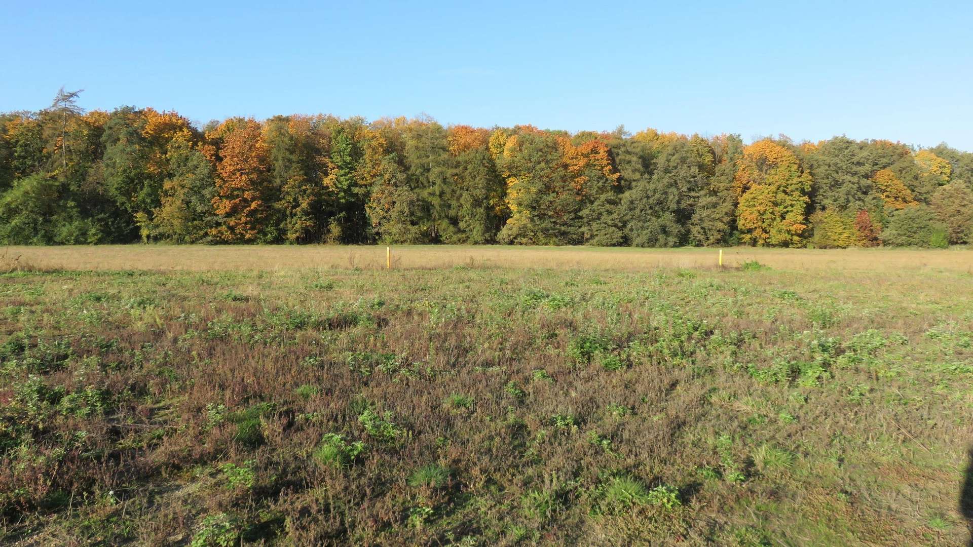 Blick zum Wald - Grundstück in 03130 Spremberg mit 671m² kaufen