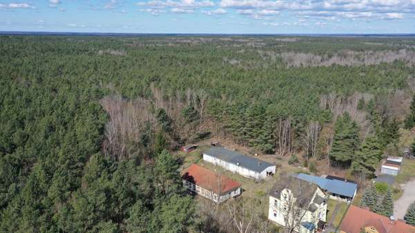 ringsum viel Wald ringsum viel Wald - Zweifamilienhaus in 03159 Neiße-Malxetal mit 315m² kaufen