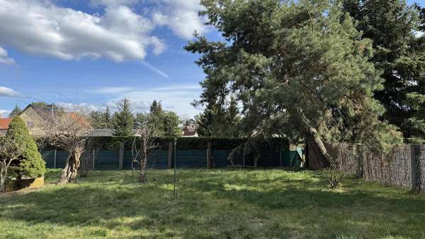 Ansicht Garten - Einfamilienhaus in 03149 Forst mit 130m² kaufen