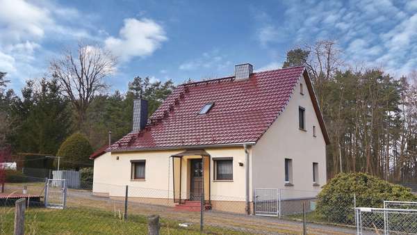 Hofseite, Einfahrt - Einfamilienhaus in 03159 Neiße-Malxetal mit 84m² kaufen