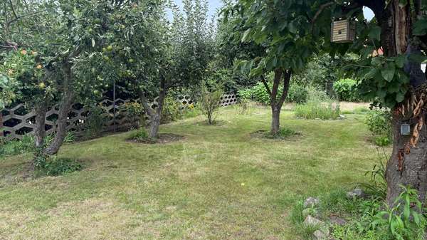 Garten mit Obstbäumen Garten mit Obstbäumen - Einfamilienhaus in 03130 Spremberg mit 115m² kaufen