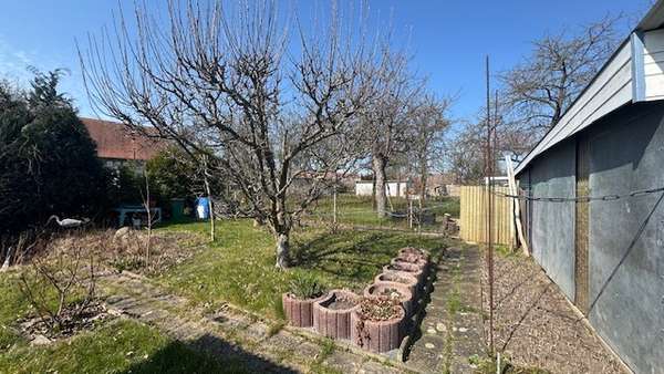 Garten - Doppelhaushälfte in 03185 Peitz mit 88m² kaufen