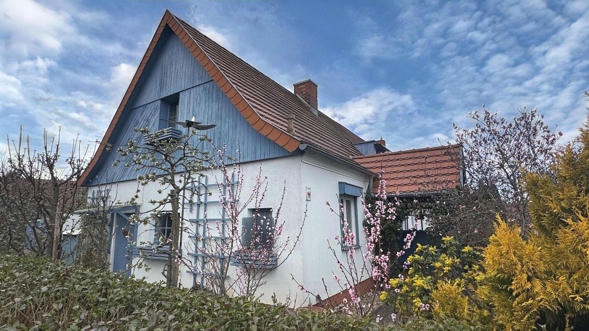 Seitenansicht - Doppelhaushälfte in 03185 Peitz mit 88m² kaufen
