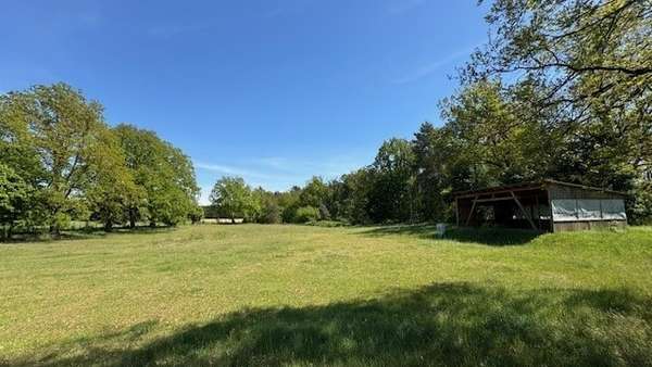 Pferdekoppel - Sonstige in 03172 Schenkendöbern mit 98m² kaufen