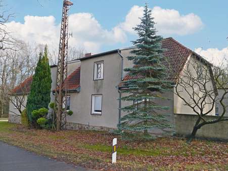 Straßenansicht - Mehrfamilienhaus in 03130 Felixsee mit 186m² kaufen