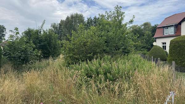 Ansicht Südwest Ansicht Südwest - Grundstück in 03051 Cottbus mit 2764m² kaufen