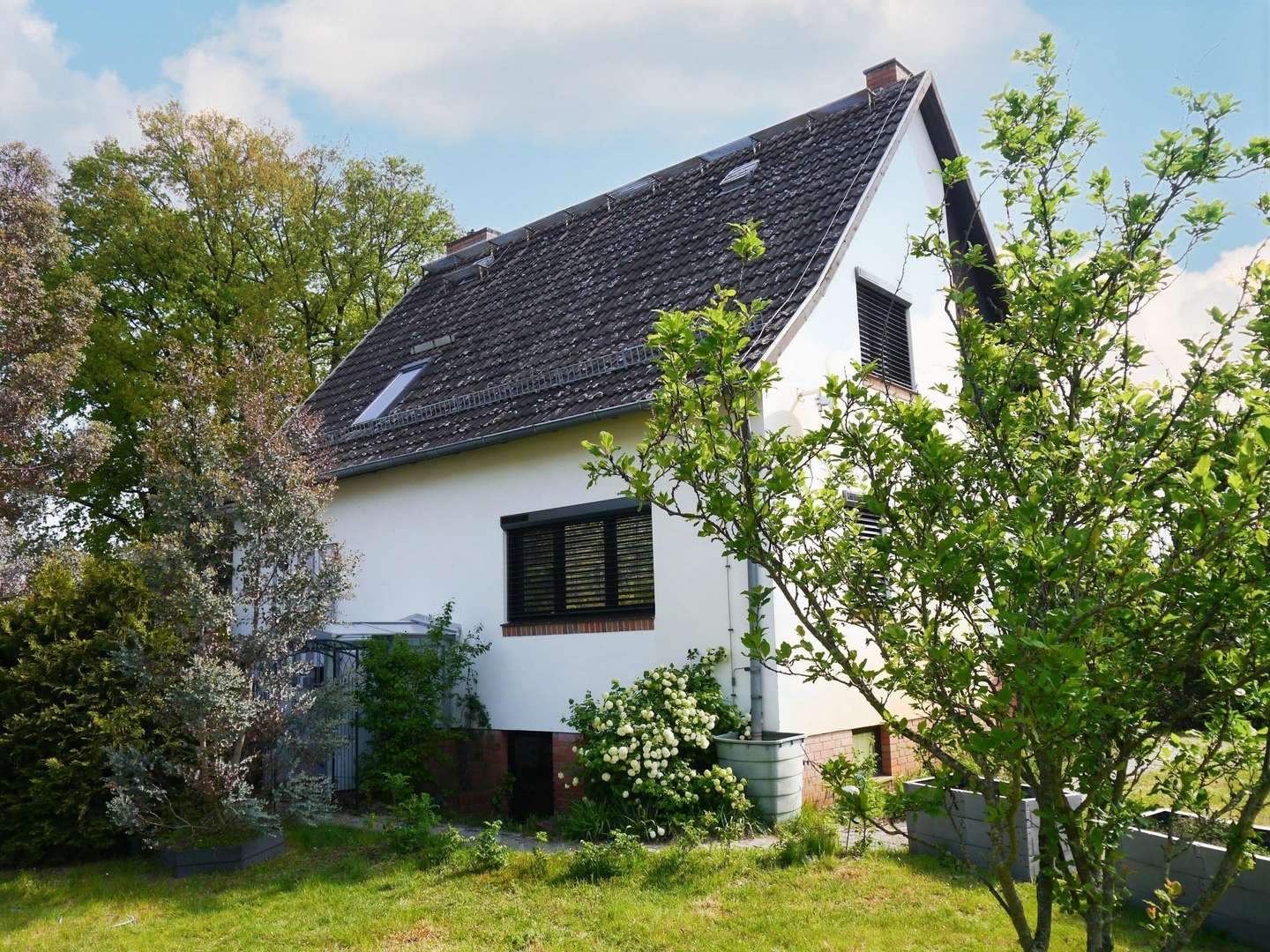 Westansicht - Einfamilienhaus in 03042 Cottbus mit 133m² kaufen