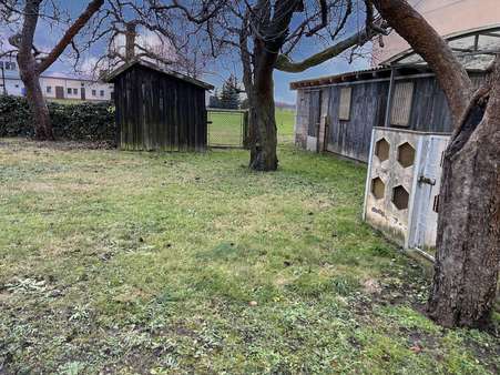 Garten und Schuppen Garten und Schuppen - Einfamilienhaus in 03249 Sonnewalde mit 170m² kaufen