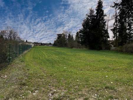 Grundstück in 03253 Doberlug-Kirchhain mit 6160m² kaufen