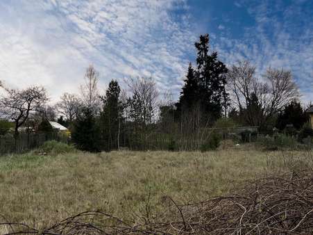 Grundstück in 03253 Doberlug-Kirchhain mit 6160m² kaufen