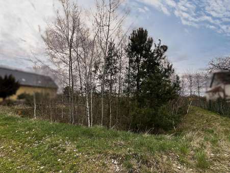 Grundstück in 03253 Doberlug-Kirchhain mit 6160m² kaufen