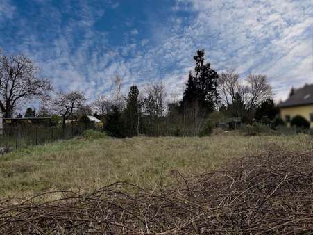 Grundstück in 03253 Doberlug-Kirchhain mit 6160m² kaufen
