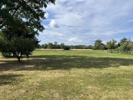 Wiese - Einfamilienhaus in 03249 Sonnewalde mit 110m² kaufen