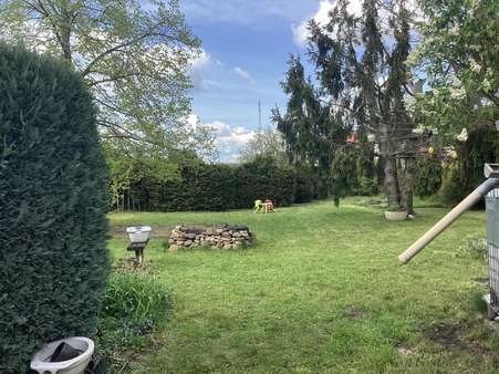 IMG_7922 - Einfamilienhaus in 01979 Lauchhammer mit 117m² kaufen