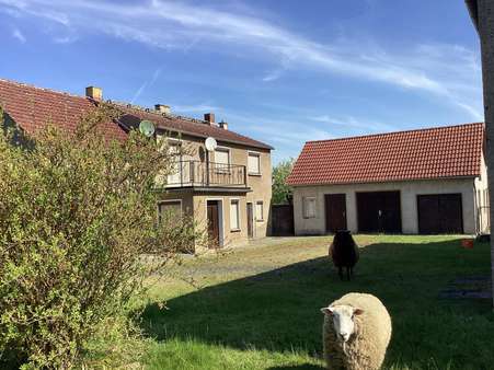 IMG_7981 - Bauernhaus in 01945 Hermsdorf mit 178m² kaufen