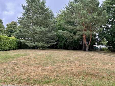 großes Grundstück großes Grundstück - Mehrfamilienhaus in 01979 Lauchhammer mit 276m² kaufen