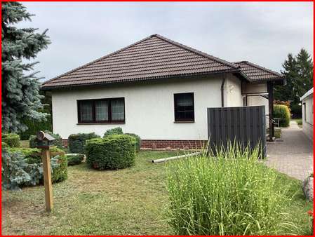 IMG_8616 IMG_8616 - Bungalow in 01993 Schipkau mit 85m² kaufen