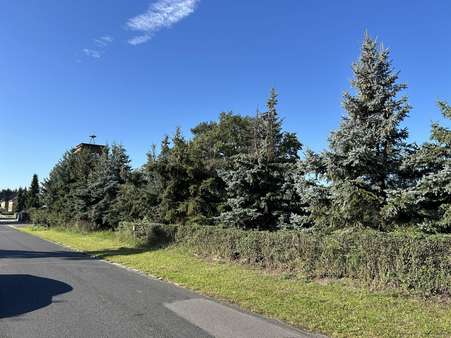 von der Straße aus gesehen - Grundstück in 01983 Großräschen mit 1250m² kaufen