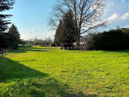 weit gestreckt zum Garten in Richtung West - Grundstück in 01983 Großräschen mit 1896m² kaufen