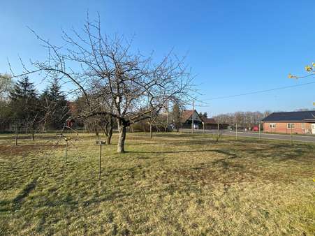 Straßenansicht - Grundstück in 03226 Vetschau mit 700m² kaufen