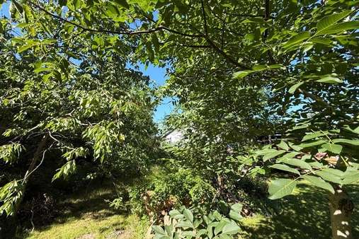 Gartenblick - Grundstück in 21395 Tespe mit 1441m² kaufen