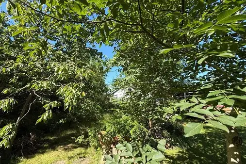 Baugrundstück für Ihr Einfamilienhaus!