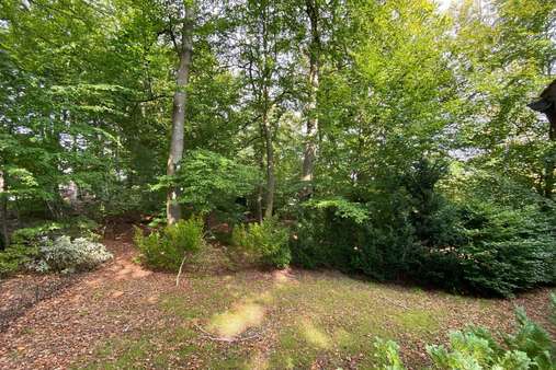 Außenansicht alter Baumbestand - Grundstück in 21244 Buchholz mit 1321m² kaufen