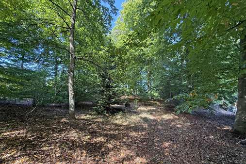 Grundstück Nr. 1 - Grundstück in 21244 Buchholz mit 1280m² kaufen