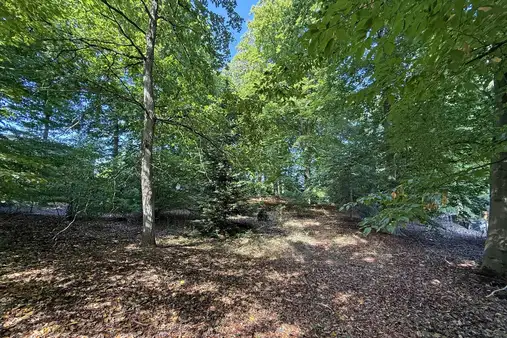 Platz für Wohn(t)räume in der Stadt!