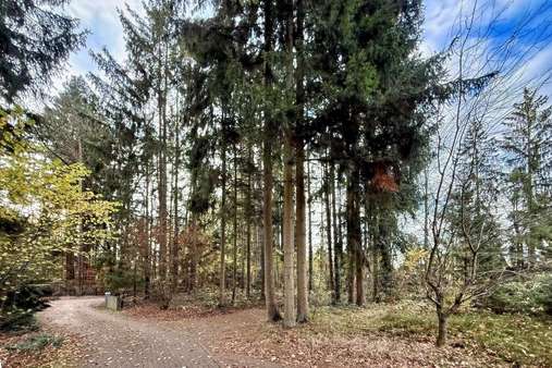 Seitenansicht - Grundstück in 21244 Buchholz mit 983m² kaufen