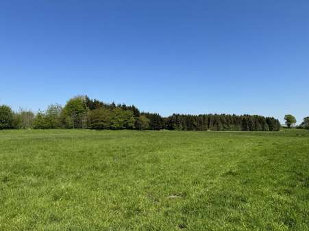 Wiese - Resthof in 24589 Dätgen mit 206m² kaufen