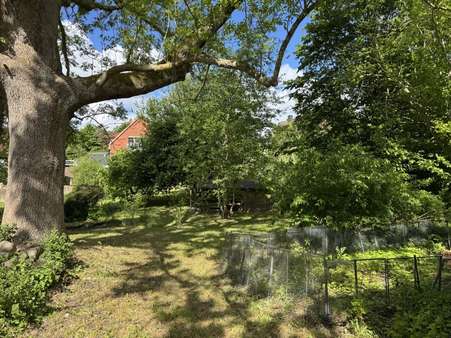 Blick in den Garten Blick in den Garten - Mehrfamilienhaus in 24111 Kiel mit 219m² kaufen