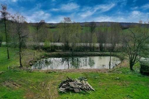 Luftbild - Grundstück in 23717 Kasseedorf mit 9836m² kaufen