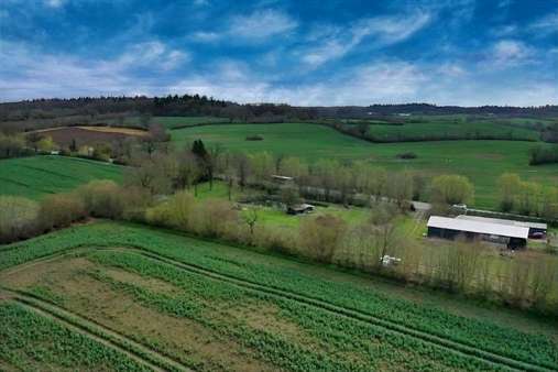 Luftbild - Grundstück in 23717 Kasseedorf mit 9836m² kaufen