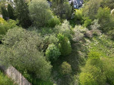 null - Grundstück in 23816 Bebensee mit 3066m² kaufen