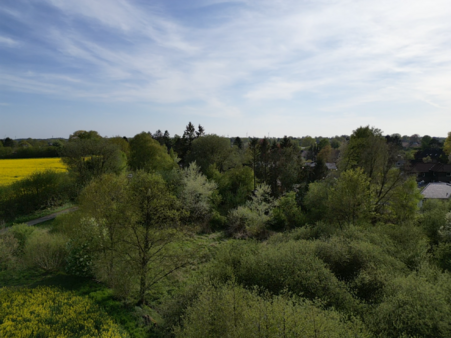 null - Grundstück in 23816 Bebensee mit 3066m² kaufen