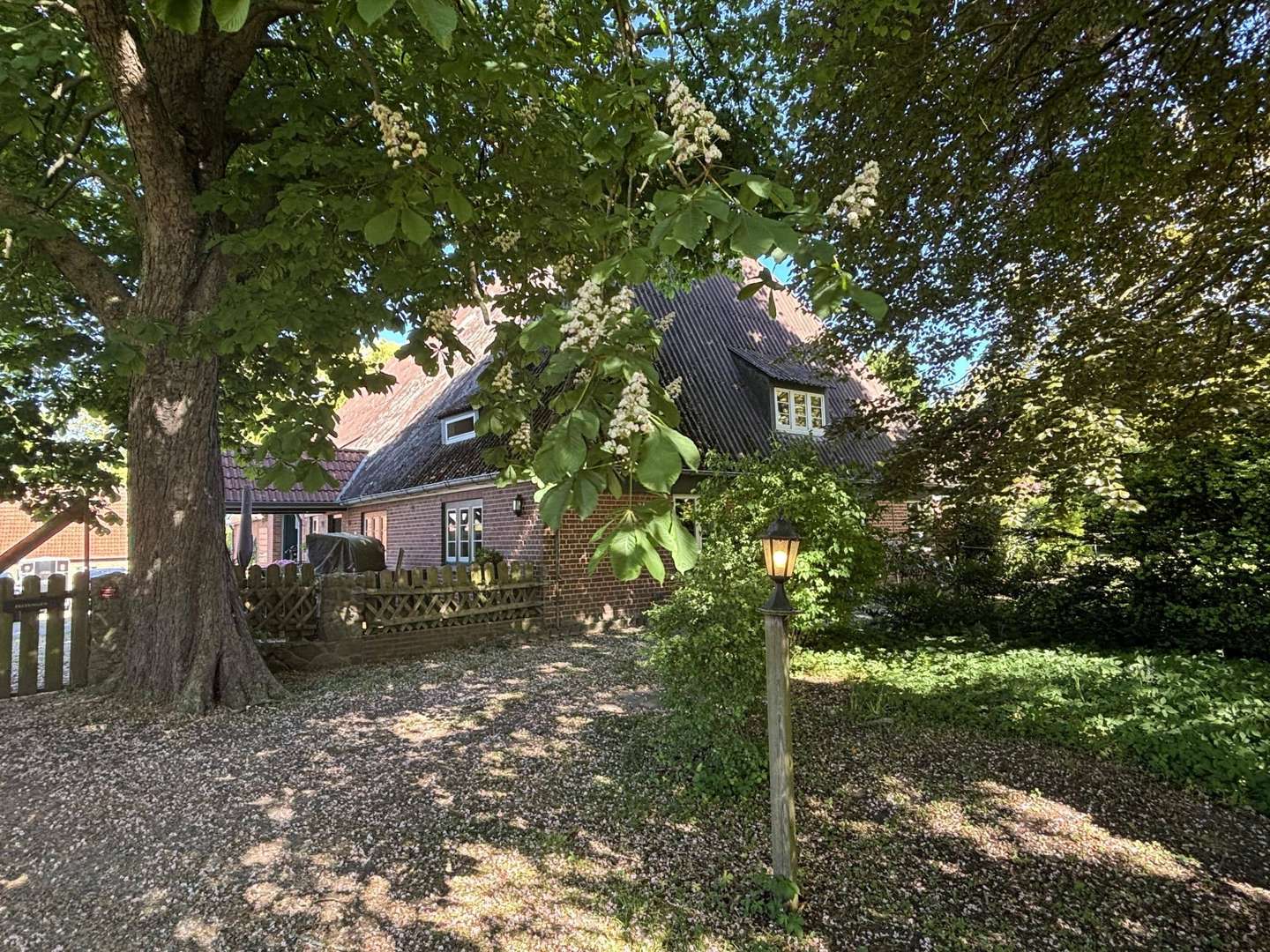 null - Landwirtschaftlicher Betrieb in 23738 Riepsdorf mit 300m² kaufen