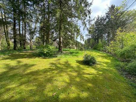 Grundstück Grundstück - Sonstige in 25923 Humptrup mit 137m² kaufen