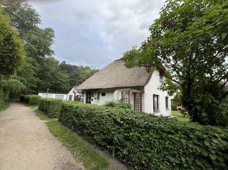 Südansicht - Einfamilienhaus in 25826 Sankt Peter-Ording mit 55m² kaufen