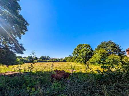 Bauerwartungsland - Grundstück in 24376 Kappeln mit 11901m² kaufen