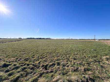 Grünwiese zum Haus - Resthof in 25927 Neukirchen mit 183m² kaufen