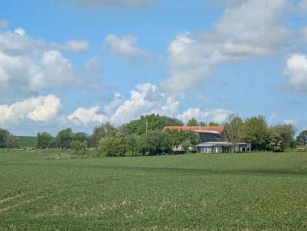 Ansicht aus der Ferne - Zweifamilienhaus in 24407 Oersberg mit 228m² kaufen