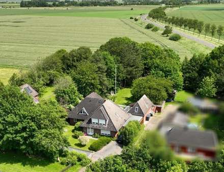 Außenansicht - Einfamilienhaus in 25881 Tating mit 289m² kaufen