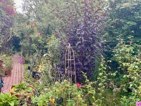 Garten - Doppelhaushälfte in 25832 Tönning mit 115m² kaufen